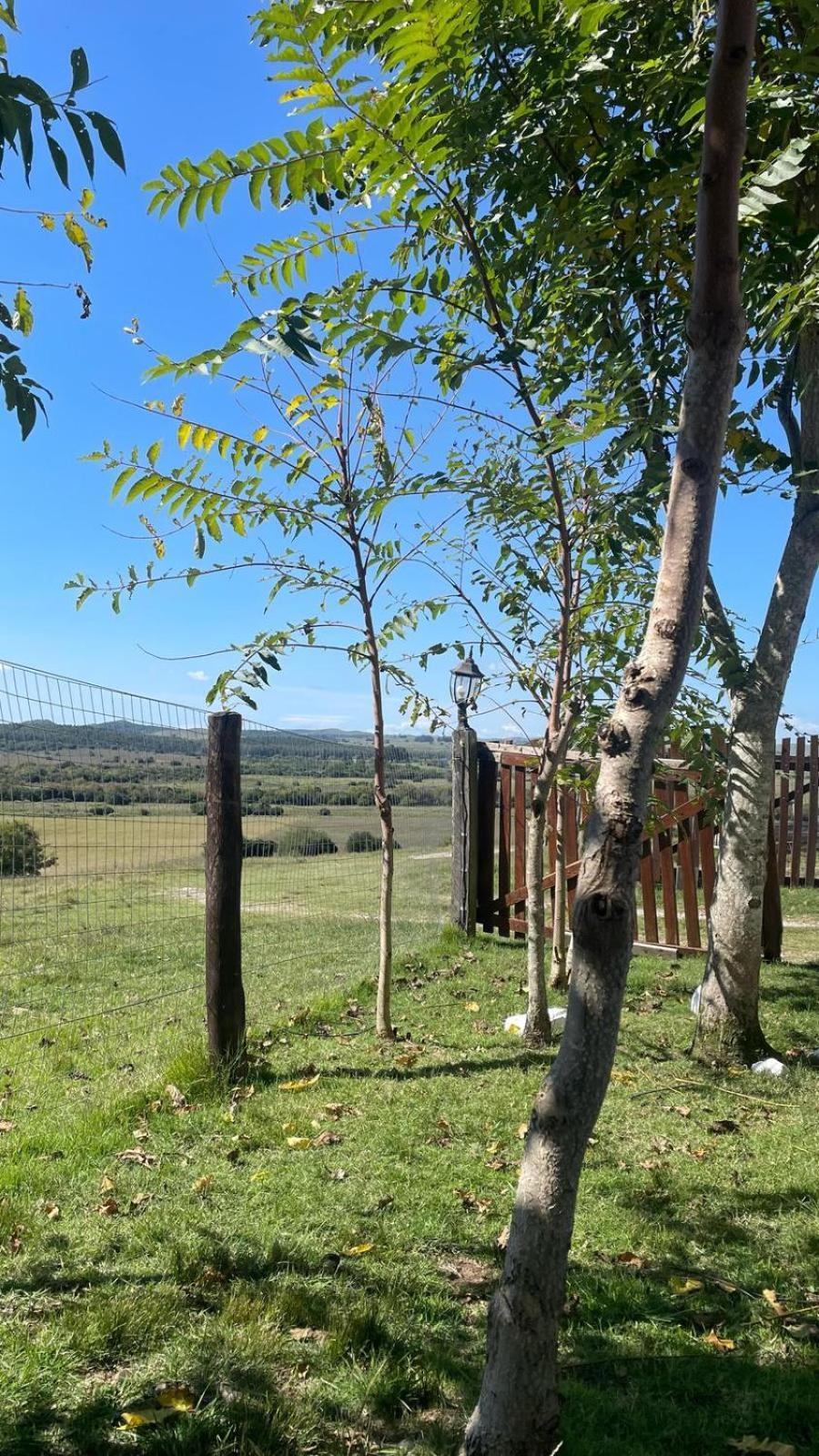 Penzion La Chacra Minas Exteriér fotografie