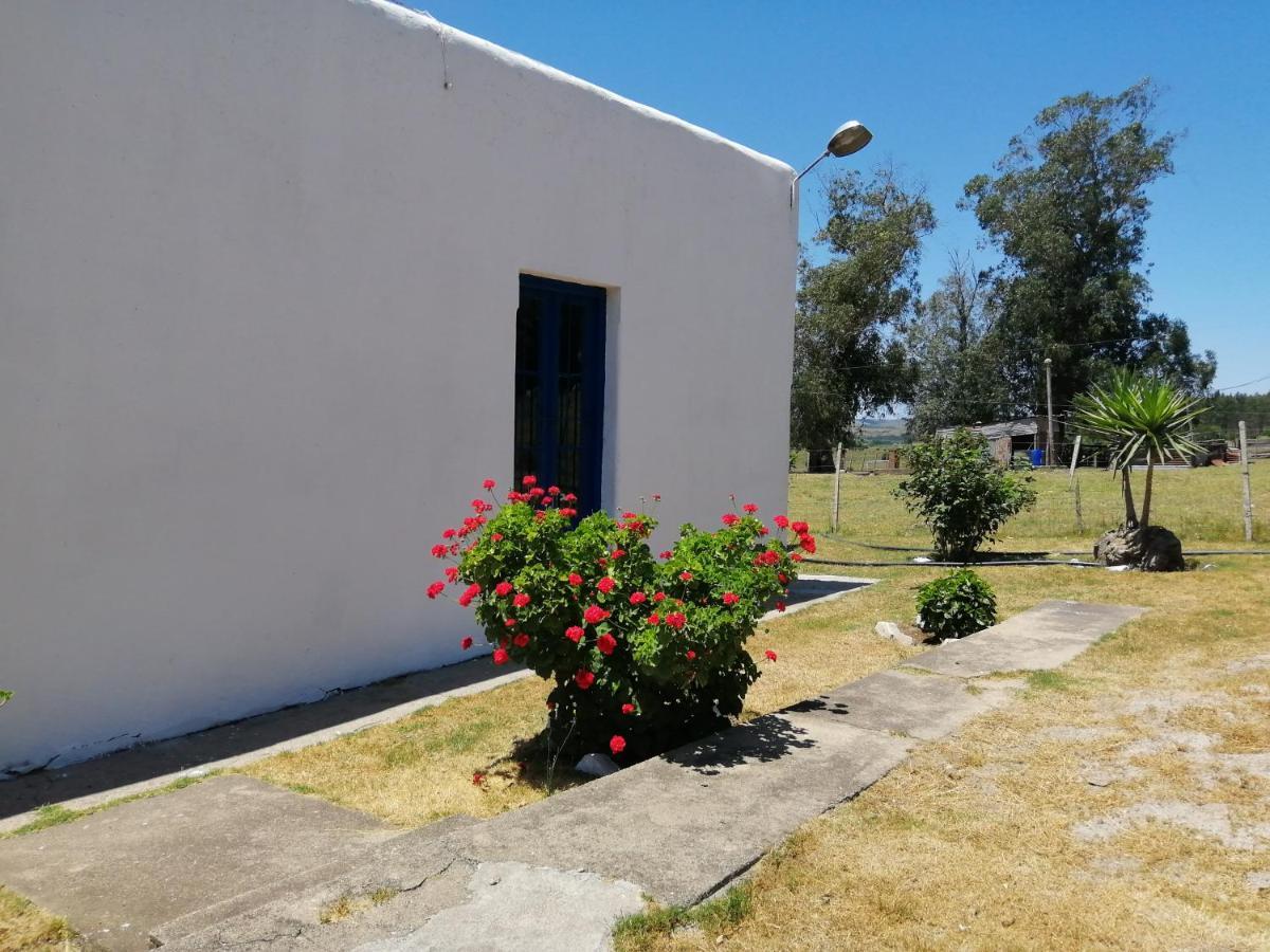 Penzion La Chacra Minas Exteriér fotografie