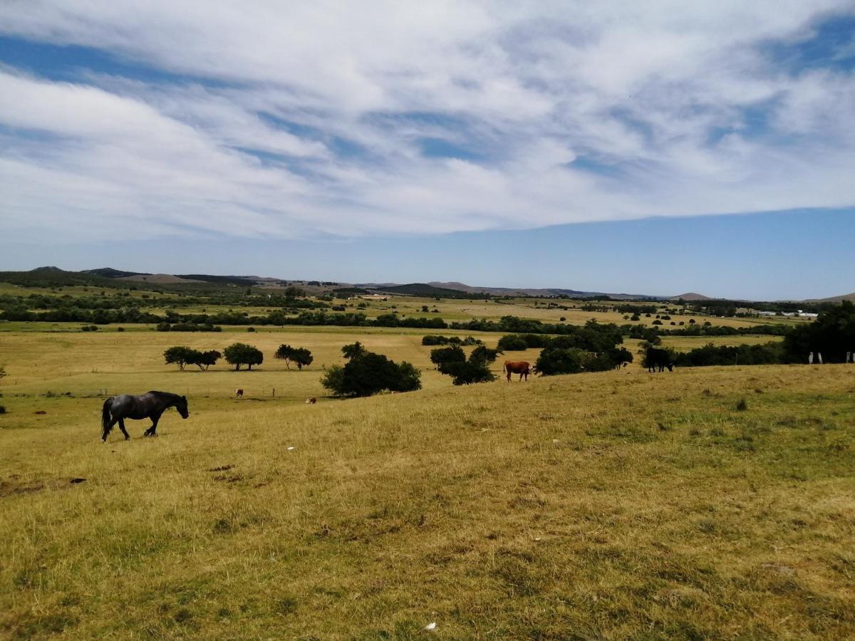 Penzion La Chacra Minas Exteriér fotografie